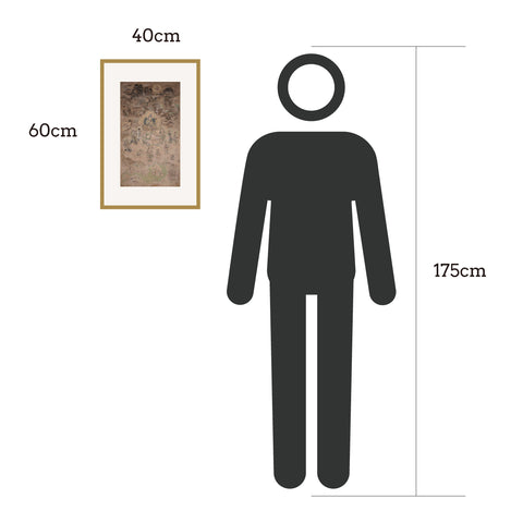 Samantabhadra Illustration Samantabhadra Illustration